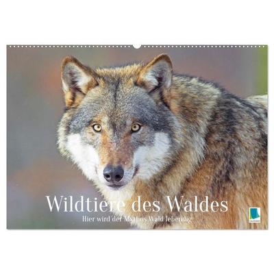 Wildtiere des Waldes: Hier wird der Mythos Wald lebendig (Wandkalender 2026 DIN A2 quer), CALVENDO Monatskalender