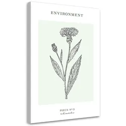 WANDBILD distelblume umwelt