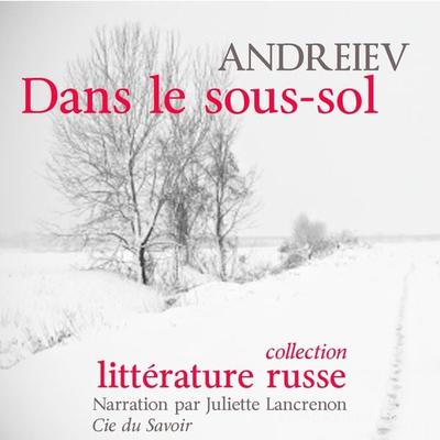 Dans le sous-sol - Andreiev, Audio, 9782821103634