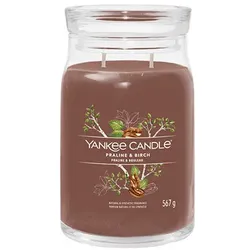 Yankee Candle Praline & Birke Signatur Kerze 567 g