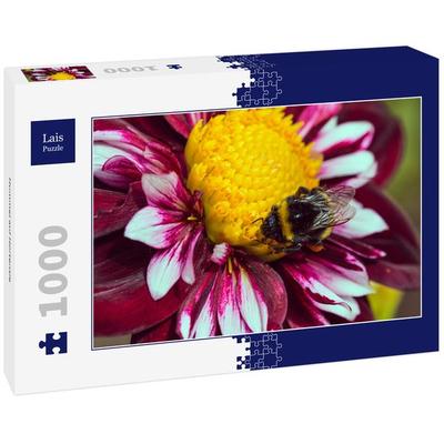 Lais Puzzle Hummel auf Hortensie 1000 Teile