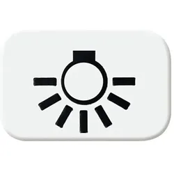 Busch-Jaeger Tastersymbol aws Licht 2525 LI-214