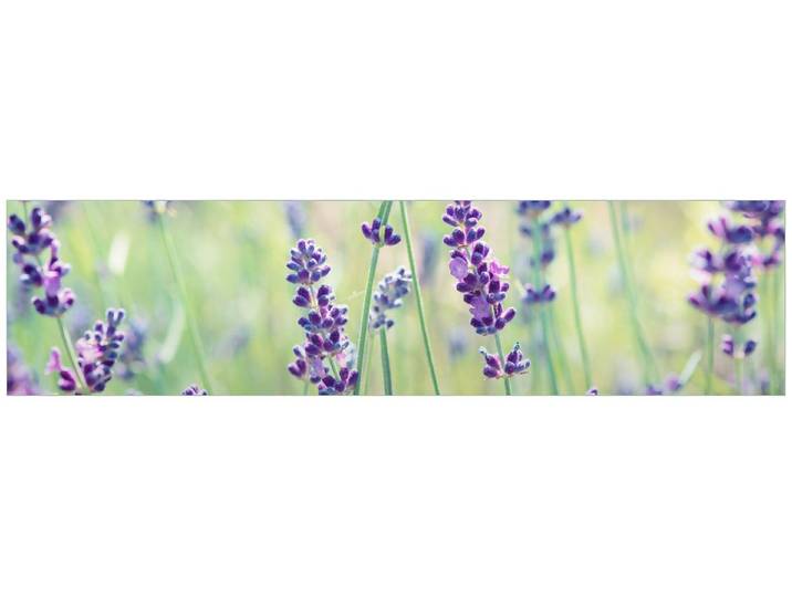 Wallario Küchenrückwand Lila Blumenfreude - Violette Pflanzen auf der Wiese, (1-tlg)