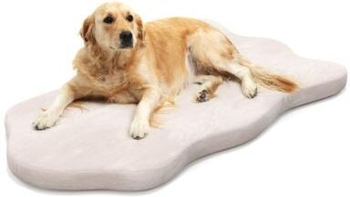 Costway Orthopedic Dog Bed with Memory Foam Support for Large Dogs-Beige