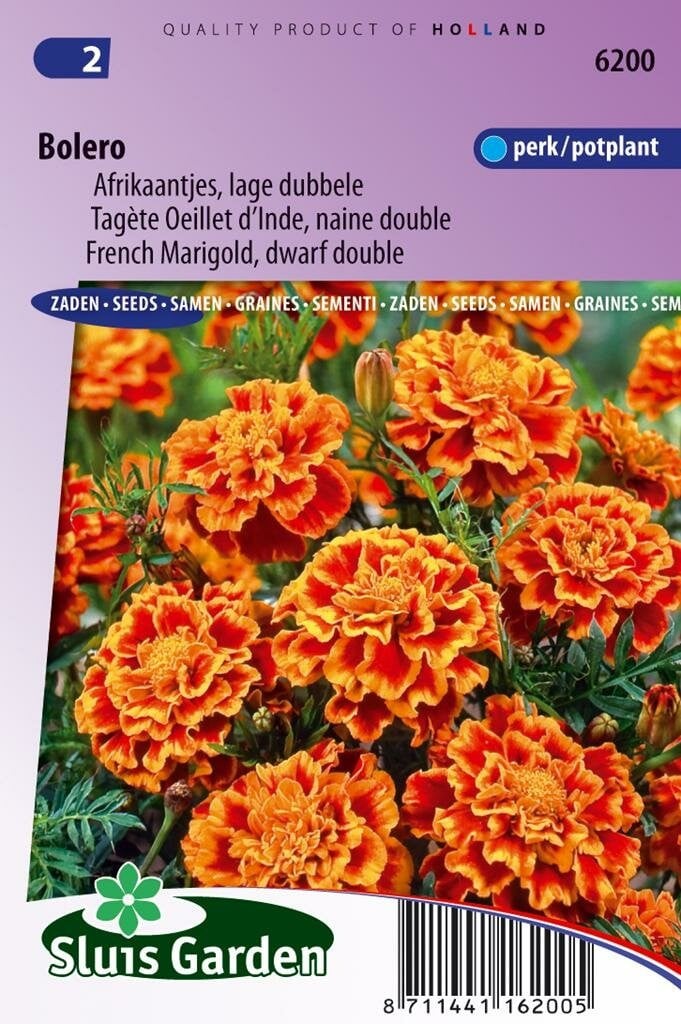 Sluis Garden Tagetes Patula zaden Bolero afrikaantje