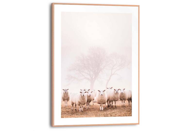 Poster REINDERS Schafe im Nebel , beige (farbe bild(er): beige), B:30cm H:40cm T:1,6cm, MDF, Bilder, Poster