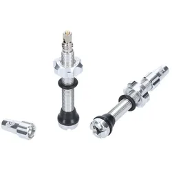 WOLF TOOTH Tubeless Ventile Stem Kit | silber 80 mm