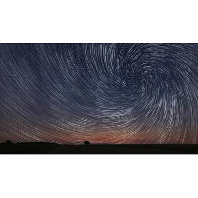 Fototapete PAPERMOON "GEWUNDENER STERN-BAUM HIMMEL ABSTRAKT MUSTER FANTASIE", bunt, B:4m L:2,6m, Vlies, Tapeten