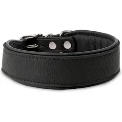 Trixie Obroa Skra o "Strong" 40mm/45cm czarny (Hund), Halsband + Leine