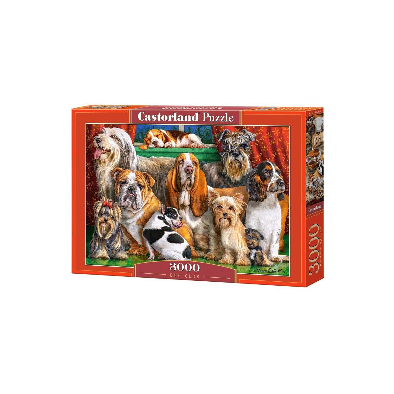Castorland Puzzel 3000 stukken Clubul Cateilor 300501
