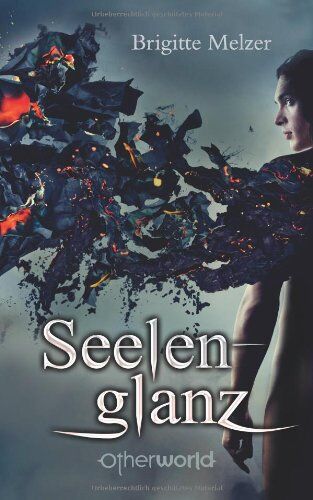 Brigitte Melzer - Seelenglanz - Preis vom 13.10.2026 11:25:28 h