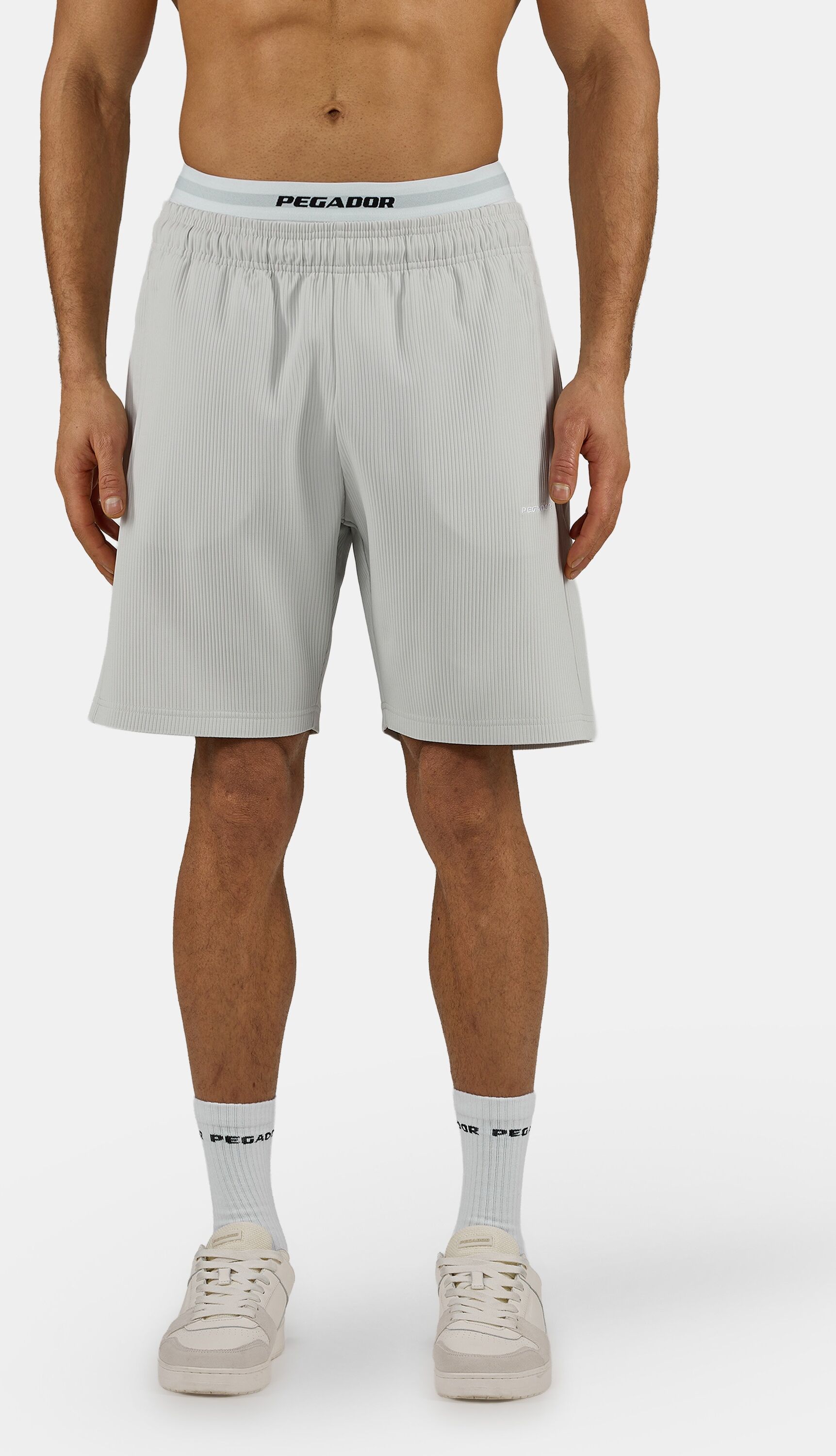 Shorts PEGADOR "TROY PLISSEE SHORTS", Herren, Gr. XXL, N-Gr, fog grau, Web, Obermaterial: 93% Polyester, 7% Elasthan, unifarben, regular fit normal, Hosen Shorts, Baumwollmischung, regular fit fog grau XXL, N-Gr