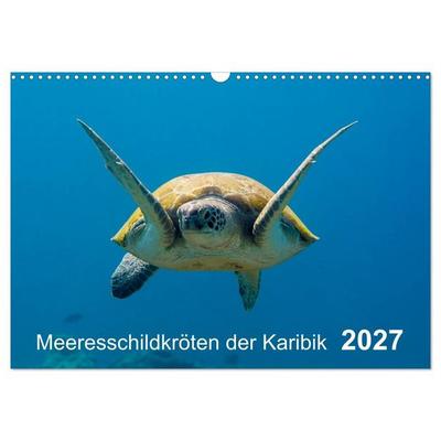Meeresschildkröten der Karibik (Wandkalender 2027 DIN A3 quer), CALVENDO Monatskalender