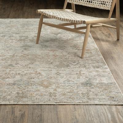 Style Haven Amira Distressed Traditional Beige/ Grey Area Rug