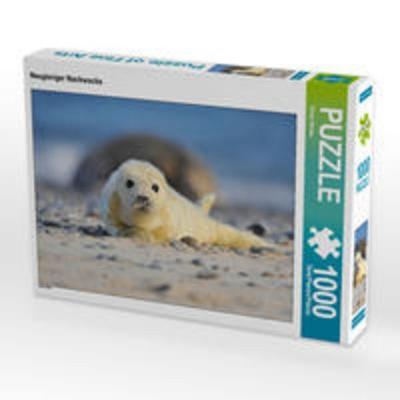 CALVENDO Puzzle Neugieriger Nachwuchs 1000 Teile Lege-Größe 64 x 48 cm Foto-Puzzle Bild von Elmar Weiss