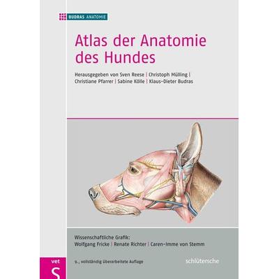 Atlas der Anatomie des Hundes, Gebundene Ausgabe von Budras Anatomie, Schlütersche Verlag, 978-3-89993-079-5
