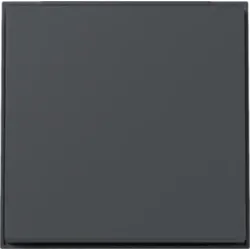 Gira 329667 Wippe TX_44 WG Unterputz Anthrazit
