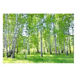 FOTOTAPETE Wald Baume Vliestapete Tapete 400x280