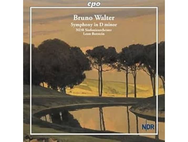 Symphony in d Minor