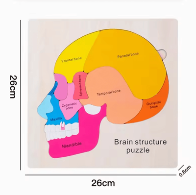 Inspire Picks Montessori Human Body Busy Board For Toddlers Body Parts Learning Toy brain