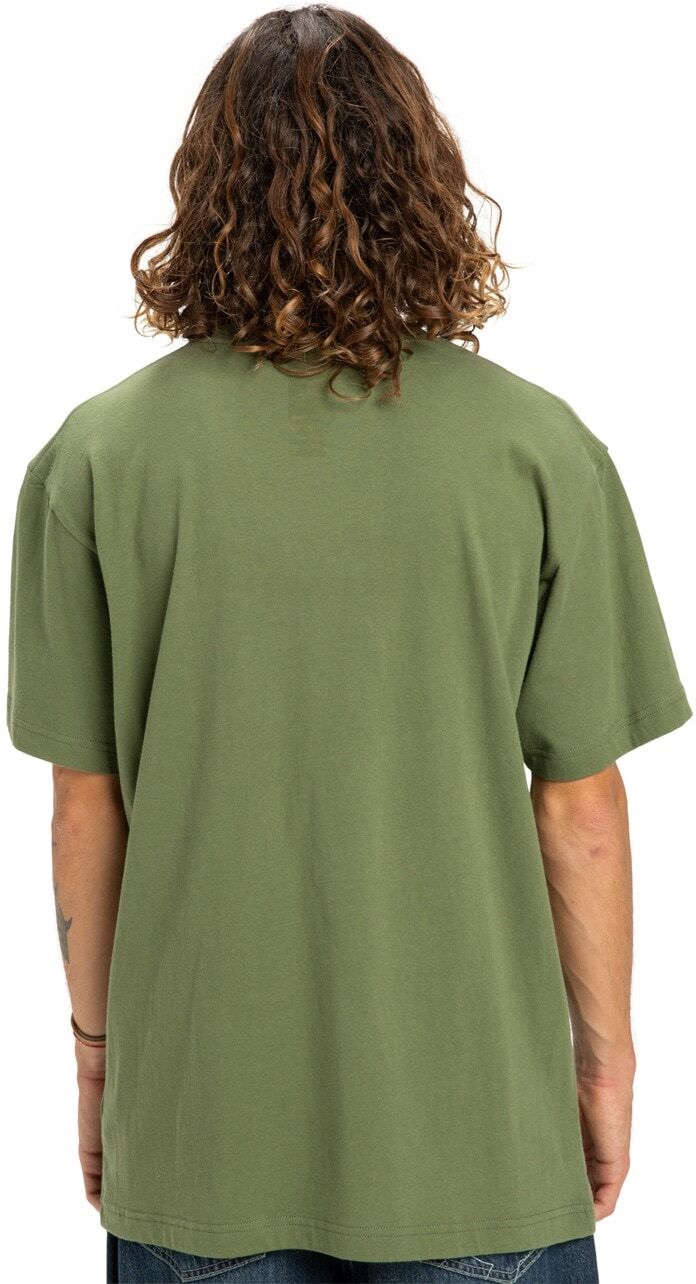 T-Shirt DC SHOES "DC Star Pocket", Herren, Gr. L, grün (bronze grün), Obermaterial: 75% Baumwolle, 25% Baumwolle., Shirts T-Shirt bronze grün L