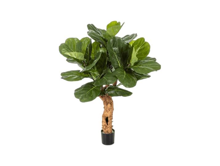 Lebensechte Kunstpflanze „Ficus Lyrata Trunk“ Grün Baq Design
