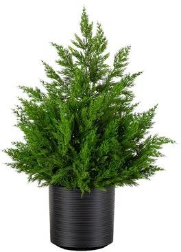 Nearly Natural 28-in Real Touch Winter Cypress Bush in Black Decorative Planter