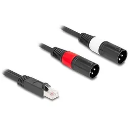 Delock Adapterkabel RJ45 Stecker zu 2 x XLR 3 Pin Stecker schwarz 2 m (88173) (2 m, XLR Kabel), Audiokabel