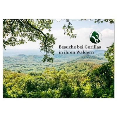 Besuche bei Gorillas in ihren Wäldern (Wandkalender 2027 DIN A3 quer), CALVENDO Monatskalender