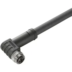 Weidmüller Kabel SAIL-M12BW-T-10H