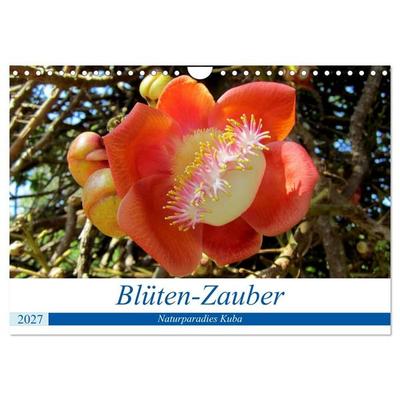Blüten-Zauber - Naturparadies Kuba (Wandkalender 2027 DIN A4 quer), CALVENDO Monatskalender