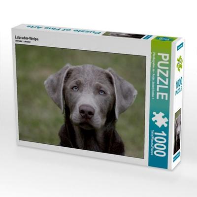 CALVENDO Puzzle Labrador-Welpe | 1000 Teile Lege-Größe 64x48cm Foto-Puzzle für glückliche Stunden