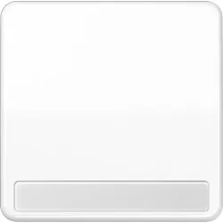 Jung Wippe Schriftfeld aws CD 590 NA WW CD590NAWW