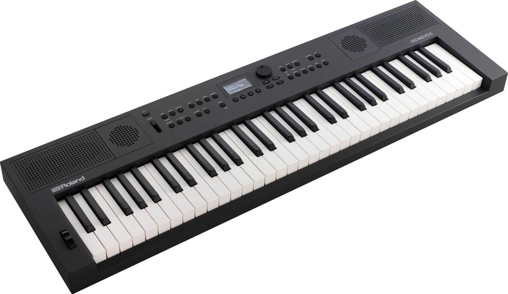 Roland GO:KEYS 5 Graphit