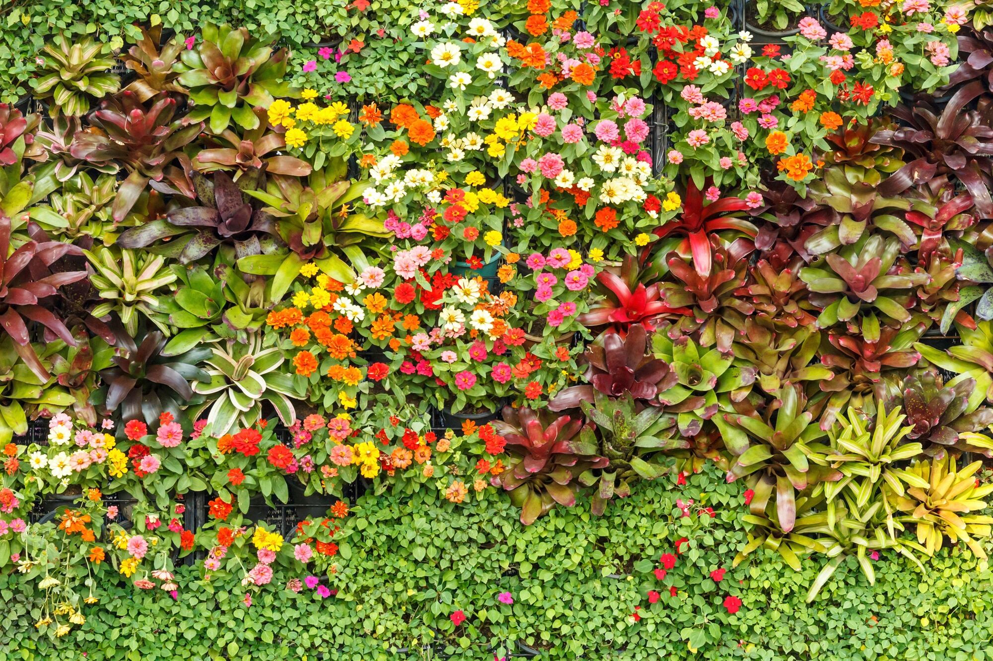 Papermoon "BLUMEN-ABSTRAKT MUSTER GARTEN PFLANZEN DEKOR NATUR"