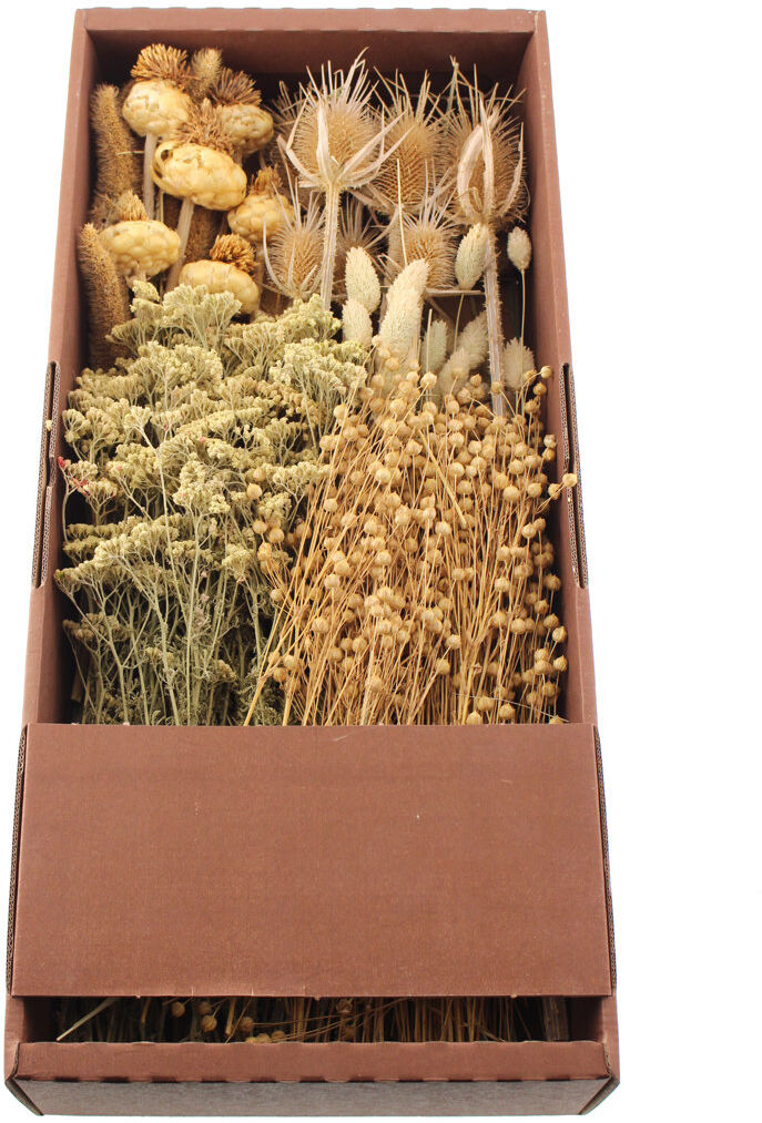 The Seasonal Aisle Mixed Assortment Arrangement Natural 52cm H X 20cm W X 20cm D