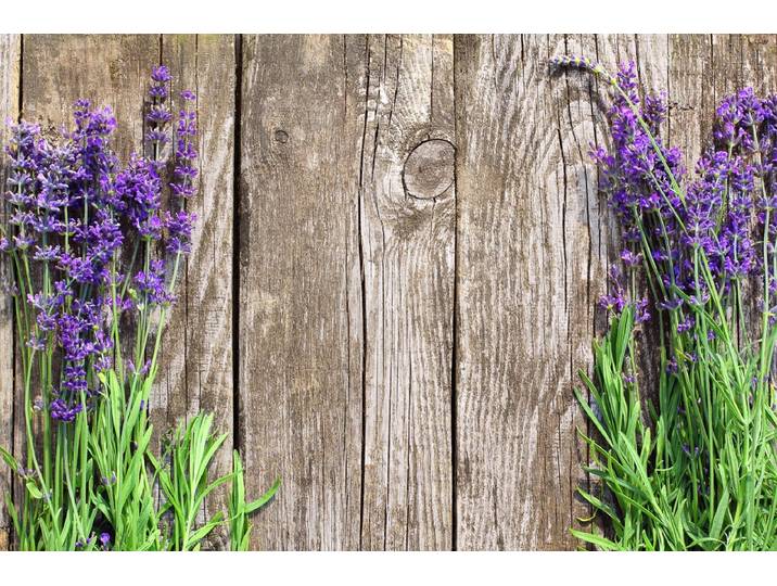 Fototapete PAPERMOON Blumen an Holzwand , bunt, B:3m L:2,23m, Vlies, Tapeten, Fototapete