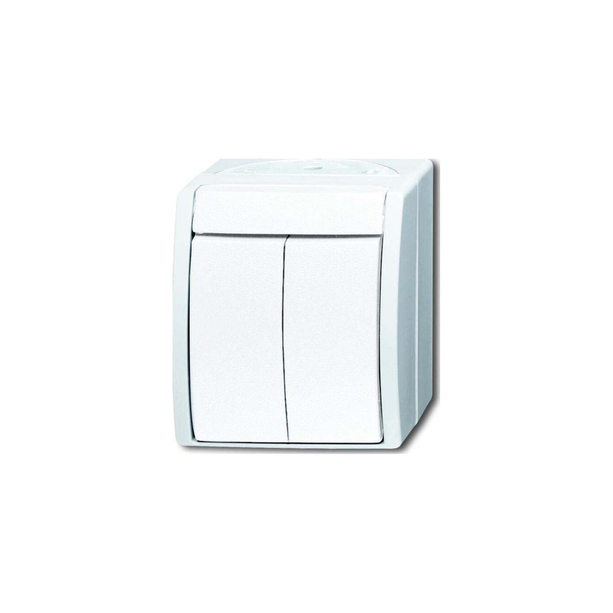 Busch-Jaeger Serienschalter 2601/5 W-54 (2CKA001085A1621)
