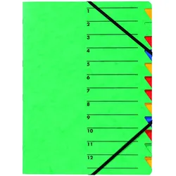 Pagna, Mappe, Dokumentenmappe Easy, DIN A4, Gummizugverschluss, 12-teilig (A4)