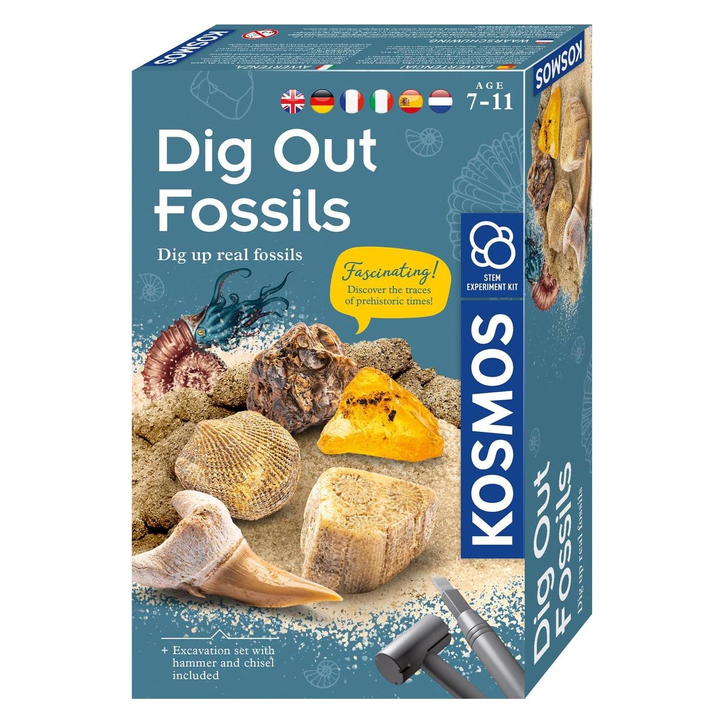 Kosmos Kosmos (36738213)