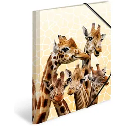 3x Herma, Mappe, Sammelmappe A4 Motiv (A4)