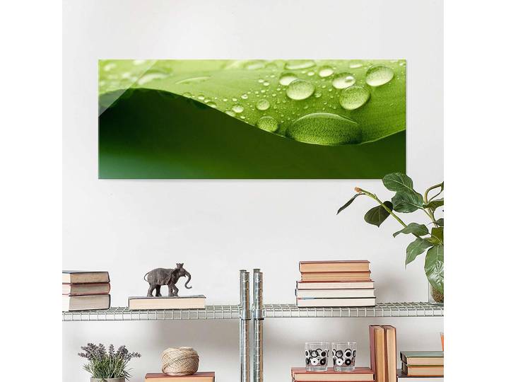 Tableau en verre Drops of Nature Matériau : Verre Motif : Avec motif Motif : Arbres, plantes & nature Type de verre : Verre de sécurité Vert