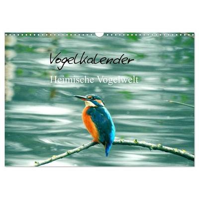 Vogelkalender (Wandkalender 2027 DIN A3 quer), CALVENDO Monatskalender