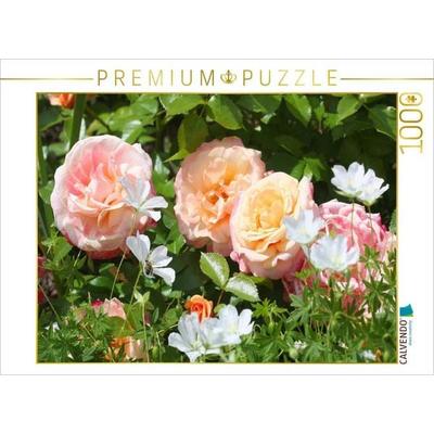 CALVENDO Puzzle Pastellfarbene Rosen | 1000 Teile Lege-Größe 64x48cm Foto-Puzzle für glückliche Stunden