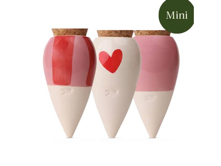 Bewässerungskegel Mini Ollas Rosa Herzen 3er Set