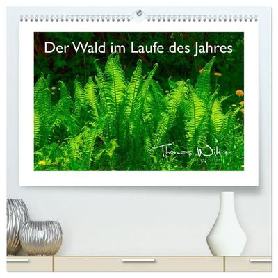 Der Wald im Laufe des Jahres (hochwertiger Premium Wandkalender 2027 DIN A2 quer), Kunstdruck in Hochglanz