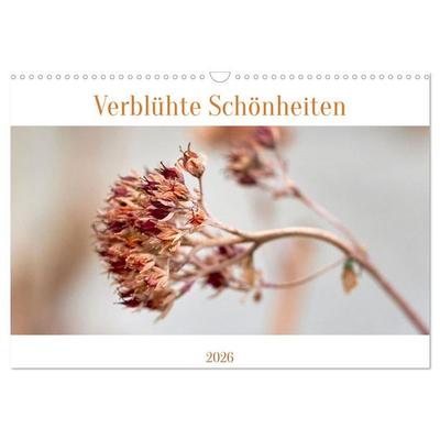 Verblühte Schönheiten (Wandkalender 2026 DIN A3 quer), CALVENDO Monatskalender