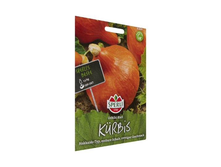 Sperli Kürbis Uchiki Kuri