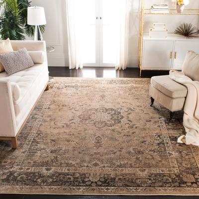SAFAVIEH Agda Vintage Distressed Oriental Area Rug