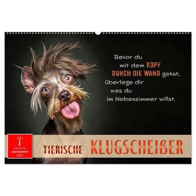 Tierische Klugscheißer (Wandkalender 2027 DIN A2 quer), CALVENDO Monatskalender
